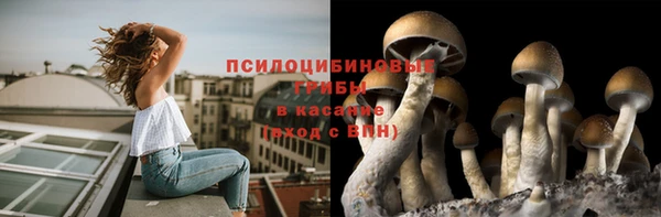 прущая мука Зерноград