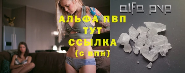 молекула духа Инсар