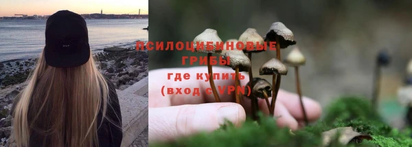 прущая мука Зерноград