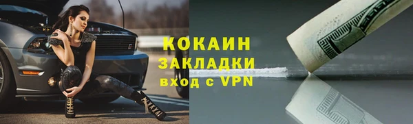 молекула духа Инсар