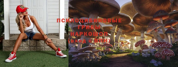 молекула духа Инсар