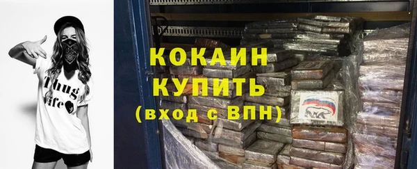 молекула духа Инсар