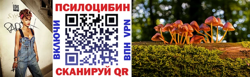 Купить  Тейково  Псилоцибиновые грибы Cubensis 